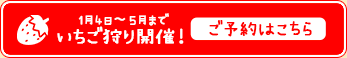 いちご狩りを予約する