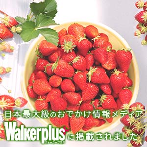 日本最大級のおでかけ情報メディア WalkerPlus（ウォーカープラス）に掲載されました